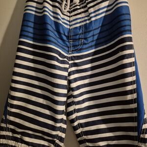 Striped Blue and Black Mens Swim Trunks